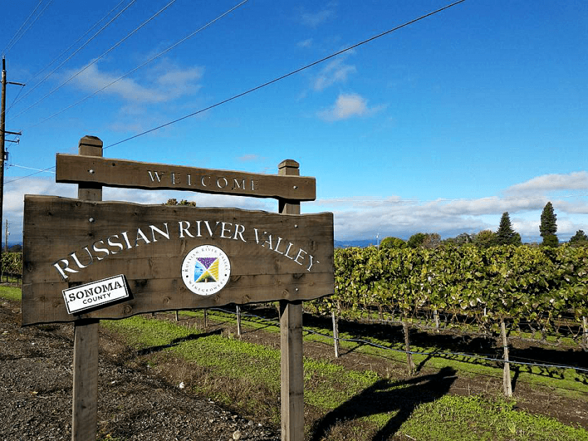 Top Sonoma Wineries To Visit | Sonoma County Wineries